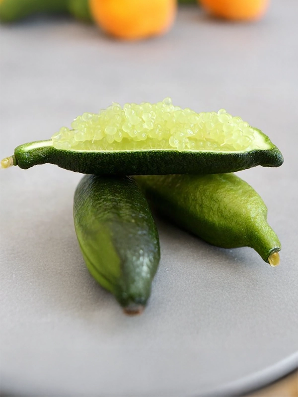 citron-cabviar-vert Citron Caviar - Perles Jaunes