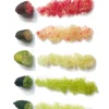 citrons-caviar-768x557-1 Citron Caviar - Perles Roses