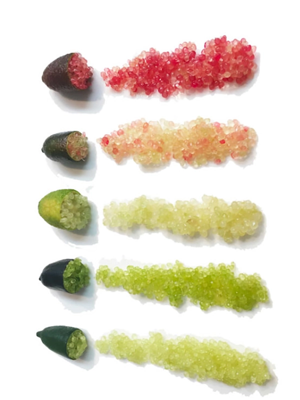 citrons-caviar-768x557-1 Citron Caviar - Perles Roses